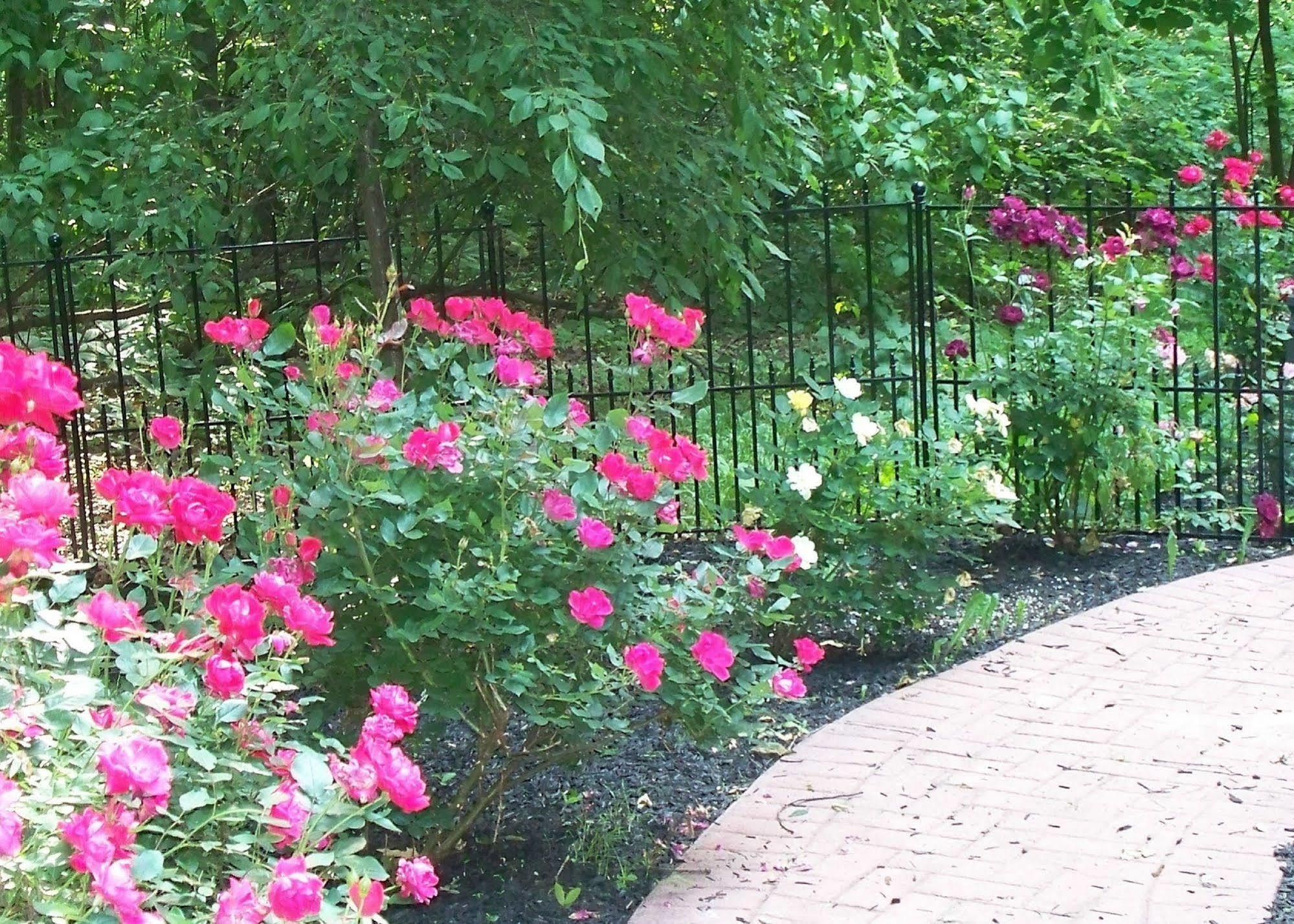 Bear House Bed And Breakfast Dover Exterior foto